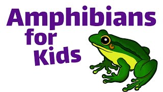 Amphibians For Kids [upl. by Auohs]