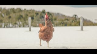 Crossroads  KFC Funny Commercial [upl. by Hait]