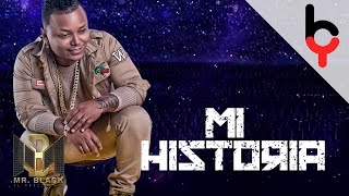 Mr Black  Mi Historia  Video Lyrics [upl. by Llered315]