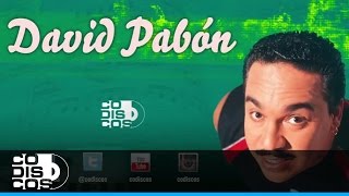 Te Acepto David Pabón  Audio [upl. by Acnoib]