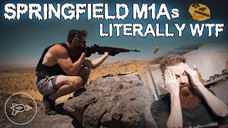 NOTHING MAKES SENSE 😭 Springfield Armory M1As Review [upl. by Naujal]