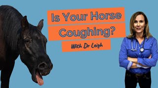 A Coughing Horse Is it Inflammatory Airway Disease [upl. by Malanie806]