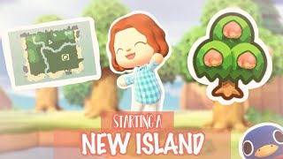 STARTING A NEW ISLAND 🏝 Day 1  Animal Crossing New Horizons [upl. by Sturrock]