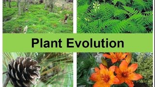 Plant Evolution updated [upl. by Lucrece177]