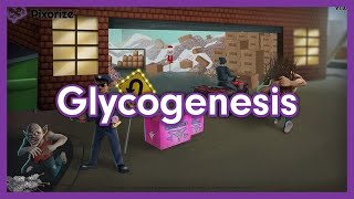 Glycogenesis Mnemonic for MCAT [upl. by Ermina301]