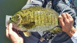 6 over 20quot Epic Day Of Kayak Fishing Smallmouth On Beds [upl. by Ellasal7]