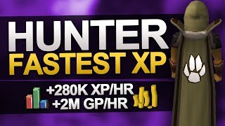 Fastest Hunter XP in OSRS ft Thurco [upl. by Dawson]