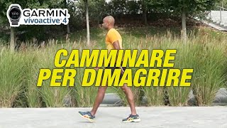 Camminare per dimagrire velocemente [upl. by Ayama38]