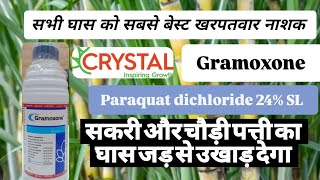 Gramoxone herbicide crystal Paraquat dichloride 24SL [upl. by Adorl38]