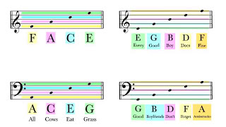 How To Read Notes On The Staff  EASY  Music Theory Tutorial [upl. by Buffy141]