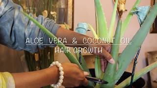 ALOE VERA amp COCONUT OIL HAIR GROWTH [upl. by Jentoft]