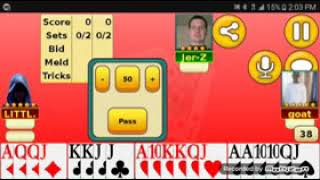 Online pinochle game [upl. by Adamok]