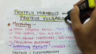 Proteus  Microbiology  Handwritten notes [upl. by Niamreg]