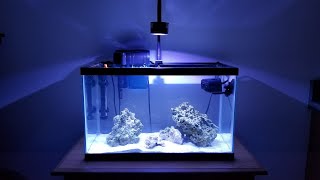 Build A 10g Nano Reef On A Budget 2020 Edition [upl. by Marsland]