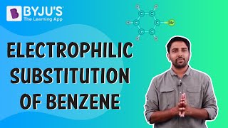 Electrophilic Substitution Of Benzene [upl. by Thomsen]