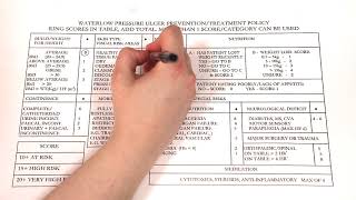 Waterlow Risk Assessment [upl. by Winnifred]