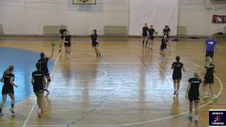 Handball Passing Drill 3 [upl. by Derby]