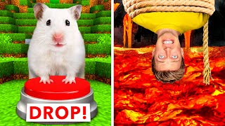 Hamster Maze vs Human Traps 🐹 World’s Most Extreme Elimination Game Last To Survive Minecraft Wins [upl. by Sada]