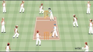 How to Play Cricket [upl. by Ellivro]