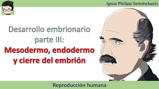 Desarrollo embrionario parte III Mesodermo endodermo y cierre del embrión [upl. by Gitlow248]