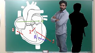 FISIOLOGÍA CARDIACA  ECG 105 VECTORES CARDIACOS [upl. by Schiro]