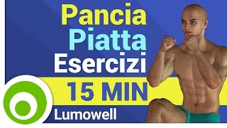 Pancia piatta  Esercizi Addominali in Piedi  15 Minuti [upl. by Ahsiram]