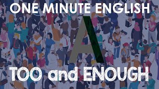 How to Use TOO and ENOUGH English Grammar Lesson too enough too much too many not enough [upl. by Melentha]