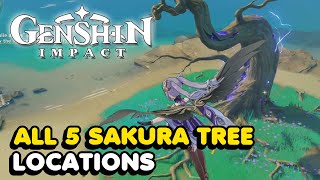 All 5 Sakura Tree Locations In Genshin Impact Sakura Arborism World Quest Guide [upl. by Angelico]