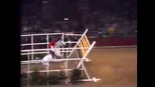 World Record Horse High Jump 2 32 meters [upl. by Polish]