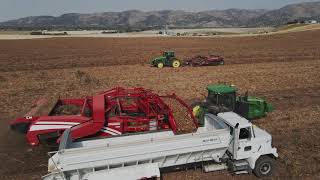 Idaho Potato Harvest  Hamilton Triple C Farms [upl. by Dahl]