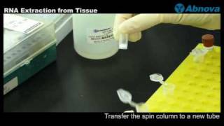 RNA Extraction from Tissue [upl. by Briano]