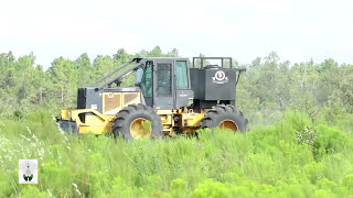 Site Preparation for Planting Longleaf  The Longleaf Alliance [upl. by Manheim]