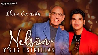 Nelsonysusestrellas  Llora Corazón Audio Oficial [upl. by Derriey]