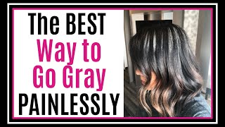 The Dye Strip Technique aka Going Gray in Secret Part 1 [upl. by Ruelle]