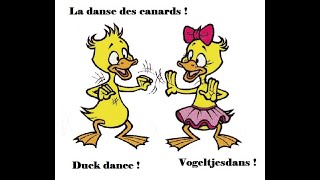 Danse Des Canards  Duck Dance [upl. by Mosi]