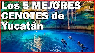 CENOTES de YUCATÁN ⭐ Los 5 mejores  Viajando con Memo [upl. by Kerrin]