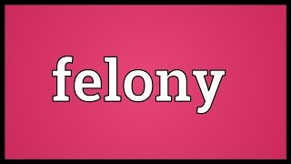 Felony Meaning [upl. by Pollie846]