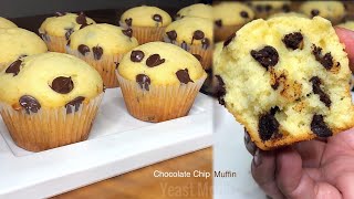 CHOCOLATE CHIP MUFFIN  Easy amp Basic Yummy Muffin Recipe [upl. by Enaujed]