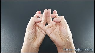 Crown Chakra Mandala Sahasrara Mudra Variations Tutorial  Three Vajras [upl. by Wynny719]