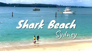 Shark Beach Vaucluse Sydney Australia [upl. by Eimak768]