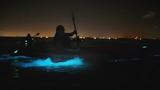 Experience Bioluminescence on Floridas Space Coast [upl. by Hutton]