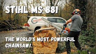 STIHL MS 881 vs MS 880  The Worlds Most Powerful Chainsaws [upl. by Zinnes]