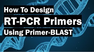 How To Create RealTime PCR Primers Using PrimerBLAST [upl. by Bound]