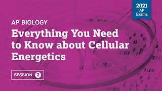 2021 Live Review 2  AP Biology  Everything You Need to Know about Cellular Energetics [upl. by Hasty444]