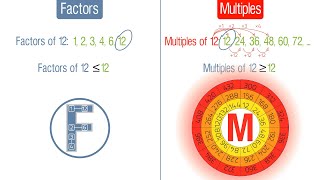 Factors and Multiples Grade 4 [upl. by Fausta]