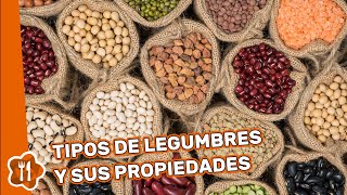 Tipos de legumbres y sus propiedades [upl. by Thaddaus595]