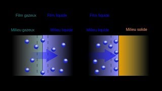 Absorption vs Adsorption 【4K】 [upl. by Evvie]