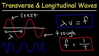 Transverse and Longitudinal Waves [upl. by Innavoij426]