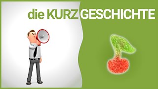 die Kurzgeschichte  Merkmale  DiB [upl. by Gant]