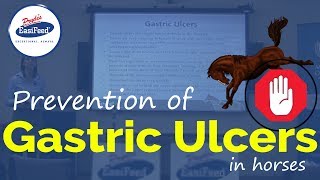 Prevention of Gastric Ulcers in horses [upl. by Ahsratal406]